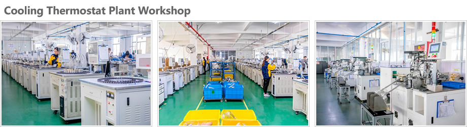 Cooling Thermostat Plant Workshop