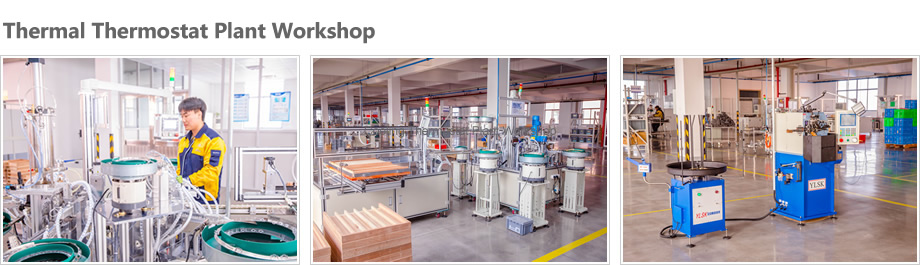 Thermal Thermostat Plant Workshop