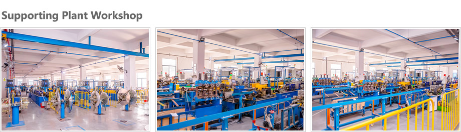 Supporting Plant Workshop